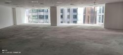 PLUS (D1), Office #559413031